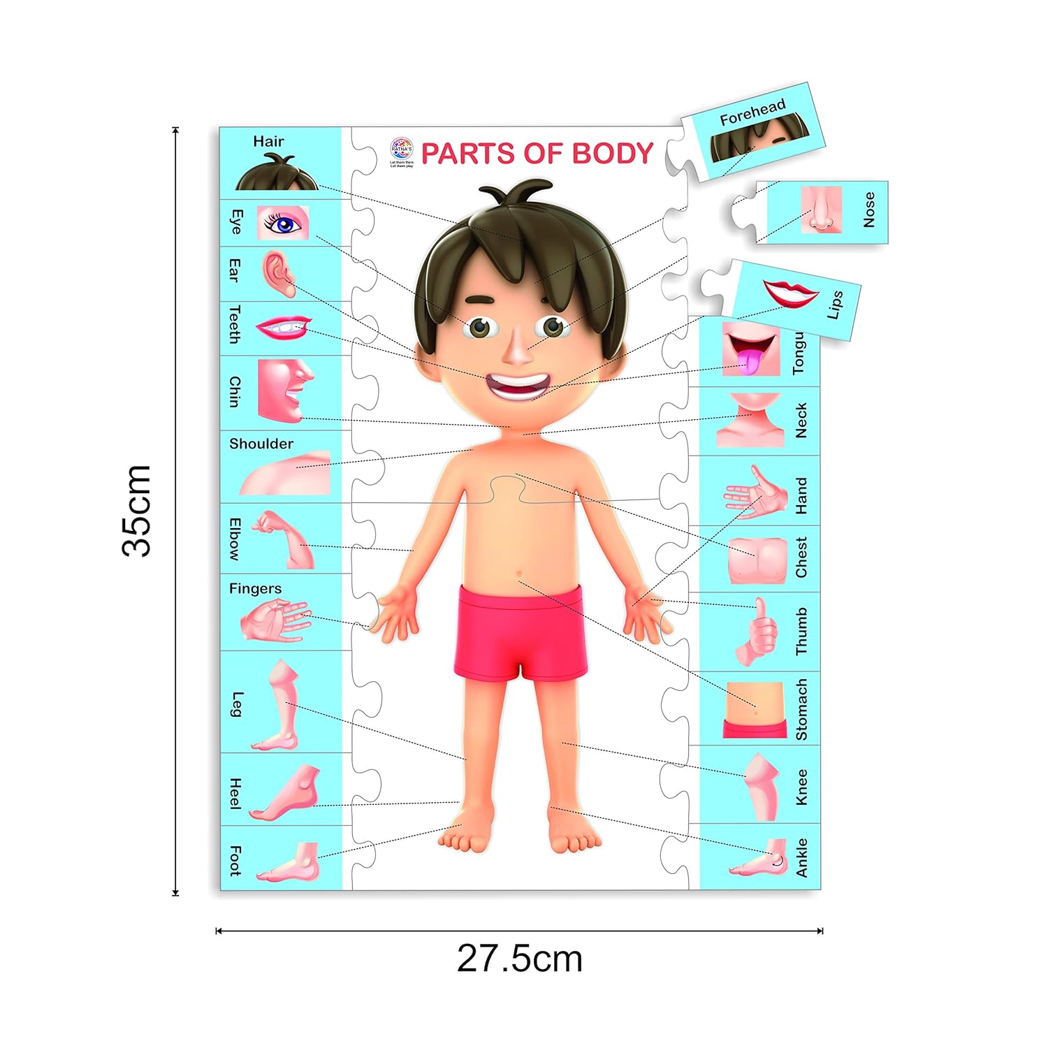 Knowledge Bank Jigsaw Junior - Educational Puzzle for Kids Ages 3-6 | Learning Fun