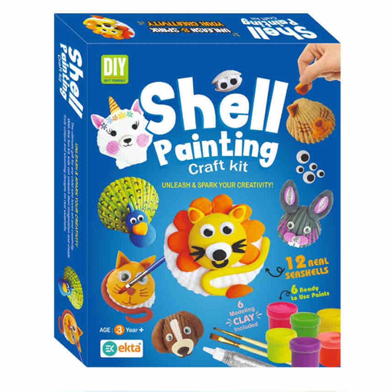 Shell Painting Craft Kit for Kids | Creative Art Activity